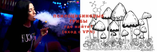 mdma Богородицк